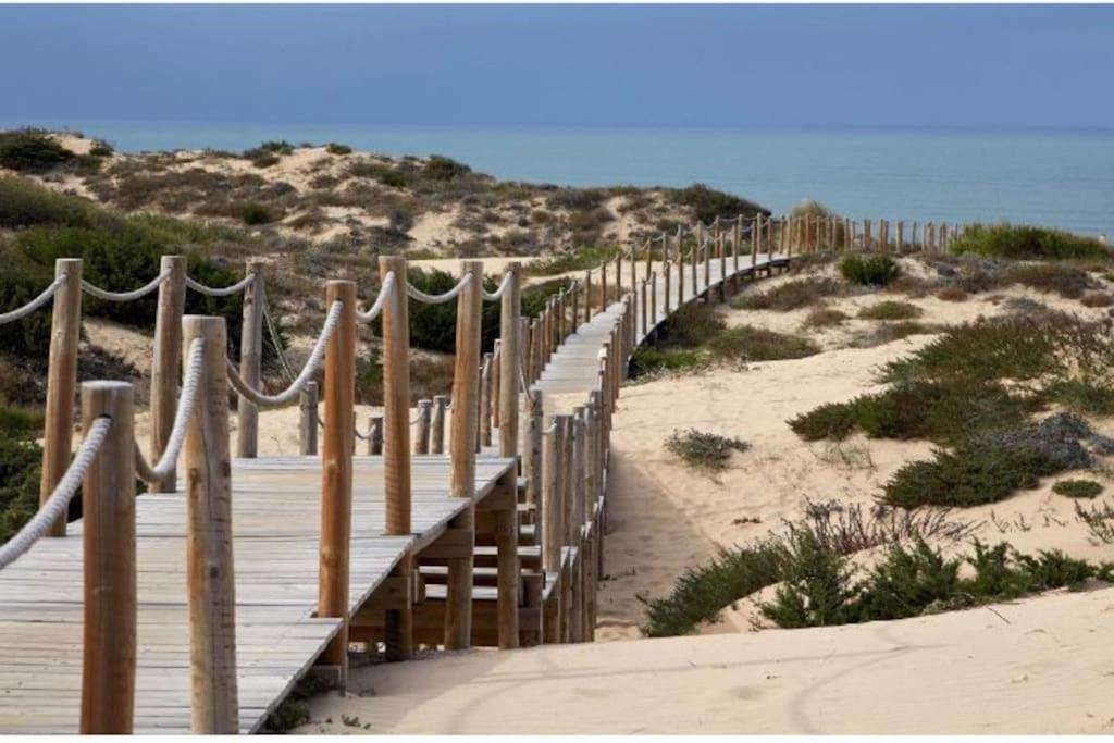 Sea Of Rome - Holiday Home Lido di Ostia Esterno foto