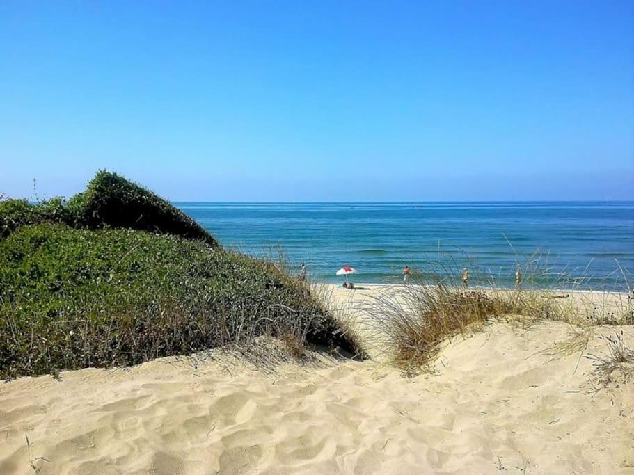Sea Of Rome - Holiday Home Lido di Ostia Esterno foto